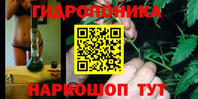 ALPHA PVP Партизанск