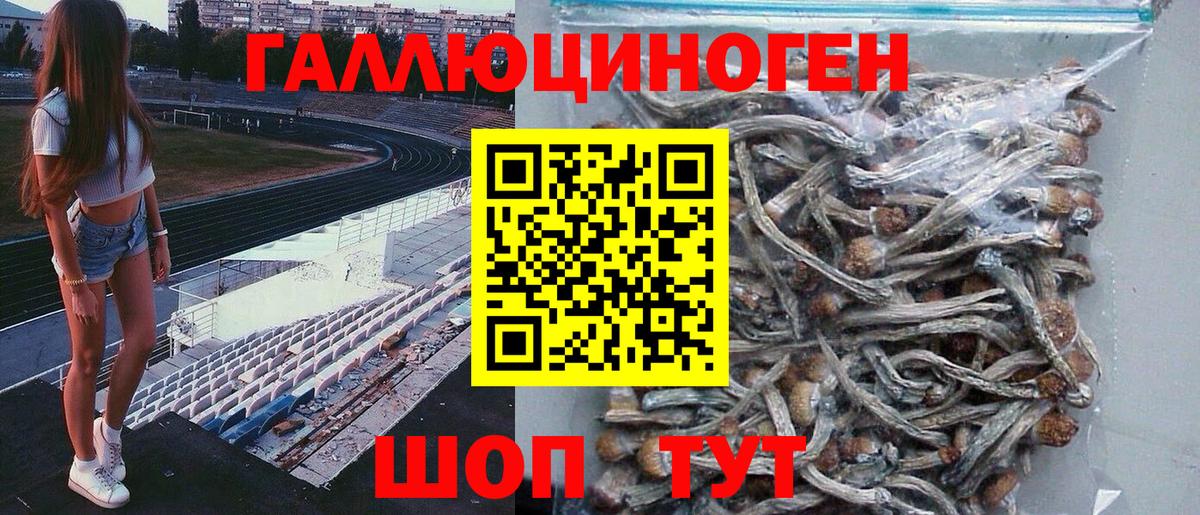 Ростов Великий  Псилоцибиновые грибы прущие грибы  Вход с VPN 