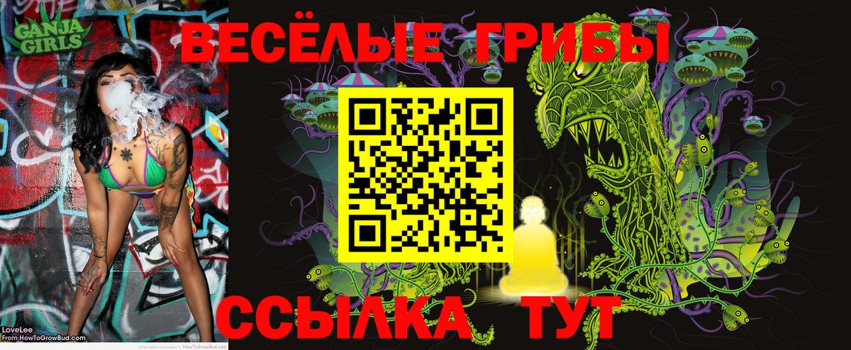 Галлюциногенные грибы GOLDEN TEACHER Ростов Великий